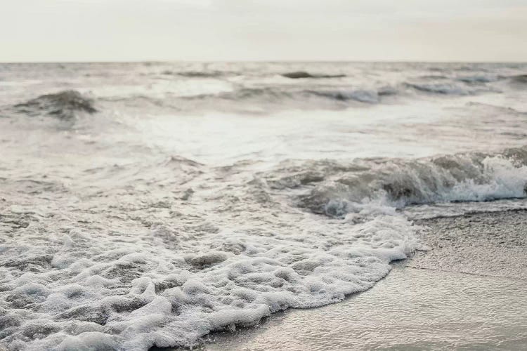 White Shores by Chelsea Victoria  wall art