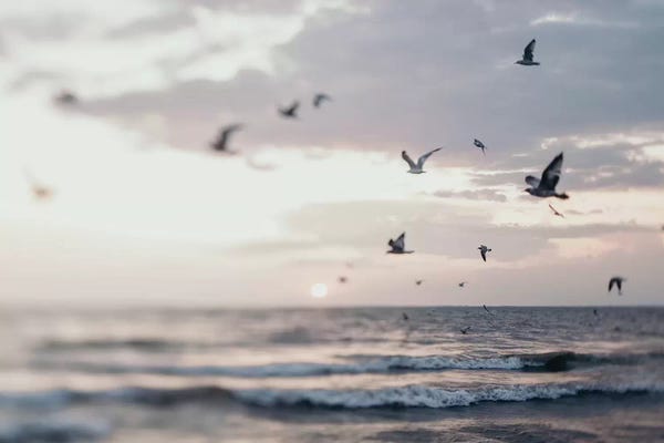 Beyond The Sea