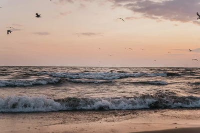 Paradise by Chelsea Victoria acrylic art print