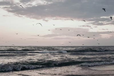 Lake Erie by Chelsea Victoria acrylic art print