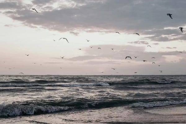 Chelsea Victoria: Lake Erie by Chelsea Victoria