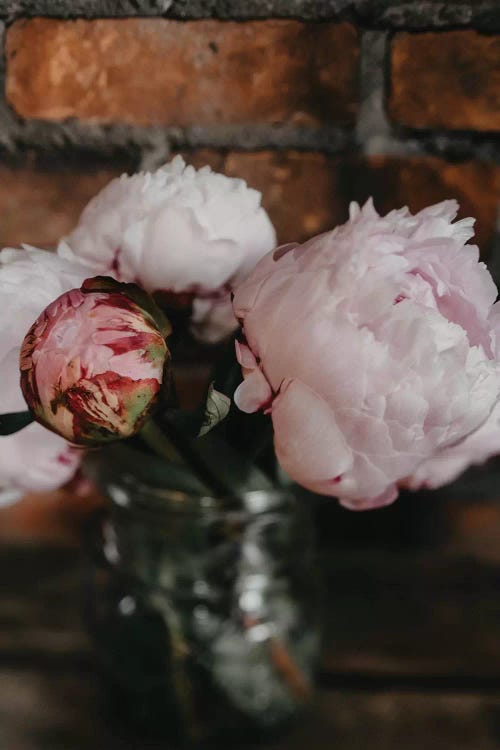 Peony Bouquet by Chelsea Victoria wall art