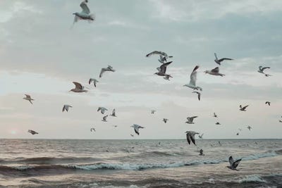 Boys Of Summer by Chelsea Victoria acrylic art print