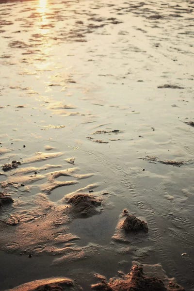 East Coast by Chelsea Victoria framed wall art