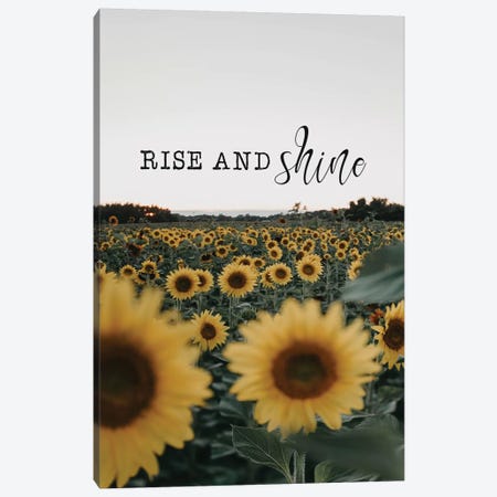 Rise And Shine Sunflowers Canvas Print #CVA251} by Chelsea Victoria Canvas Print