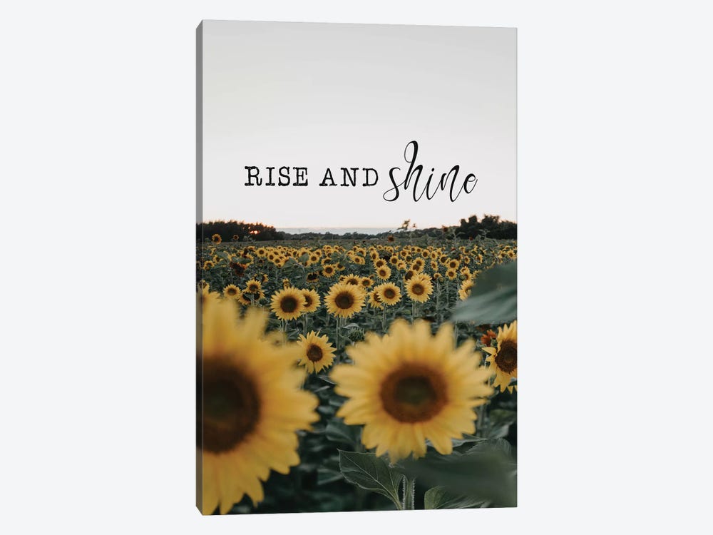 Rise And Shine Sunflowers by Chelsea Victoria 1-piece Canvas Art Print