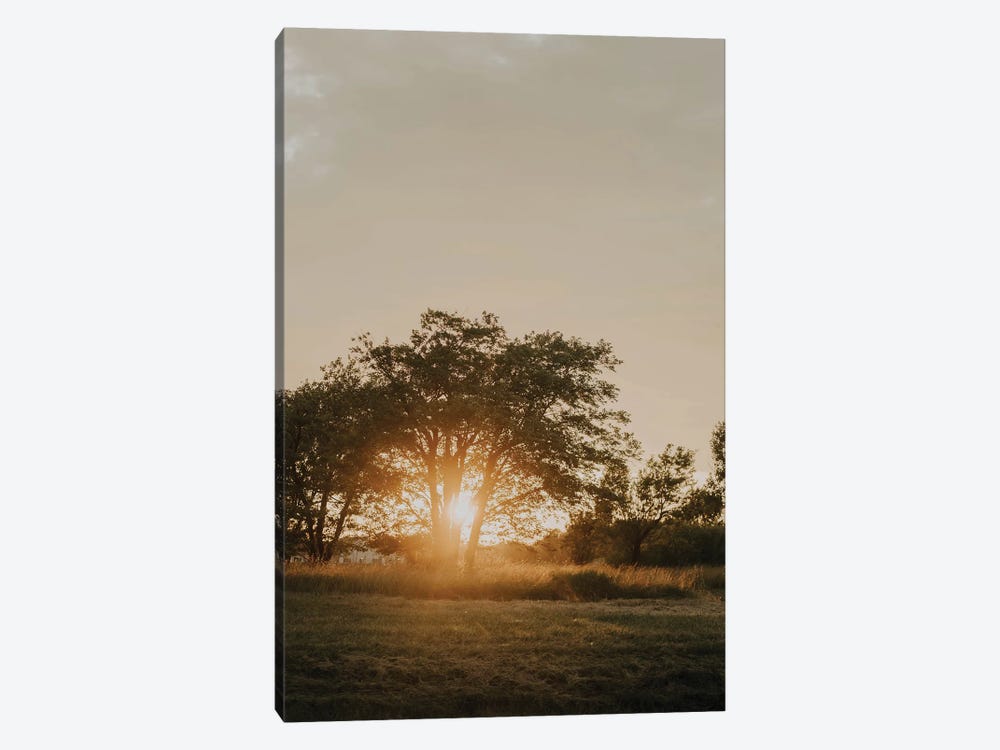 August Rising by Chelsea Victoria 1-piece Canvas Print