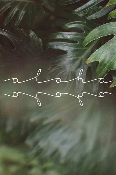 Monsteras: Aloha Aloha by Chelsea Victoria