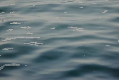 Wake Water by Chelsea Victoria canvas print