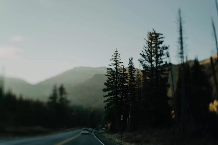 Big Mountains by Chelsea Victoria wall art