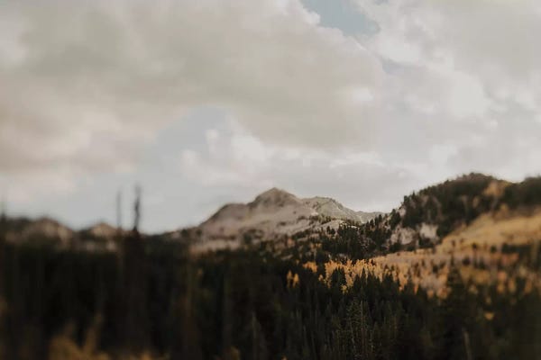 Chelsea Victoria: Autumn Mountains by Chelsea Victoria