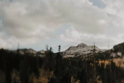 The Mountains by Chelsea Victoria acrylic art print