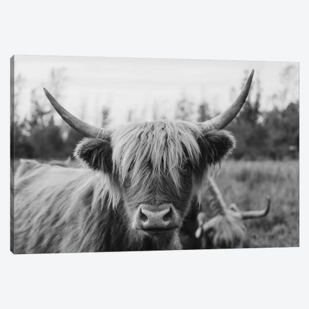 Highland Cow Black and White Canvas Print #CVA293} by Chelsea Victoria Canvas Art Print