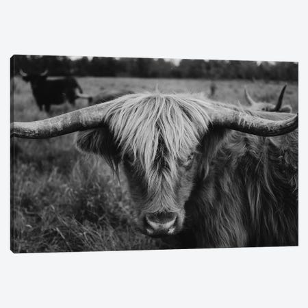 Highland Cow Black And White Canvas Print #CVA297} by Chelsea Victoria Canvas Wall Art