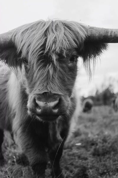 Modern Farmhouse Bedroom: Highland Ghost by Chelsea Victoria