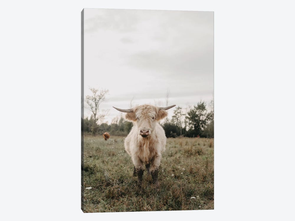 The Highland Cow by Chelsea Victoria 1-piece Art Print