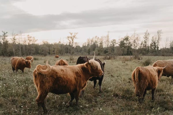 Modern Farmhouse Décor: Gather Back Home by Chelsea Victoria