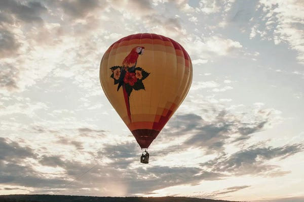 Hot Air Balloons: Rising Up by Chelsea Victoria