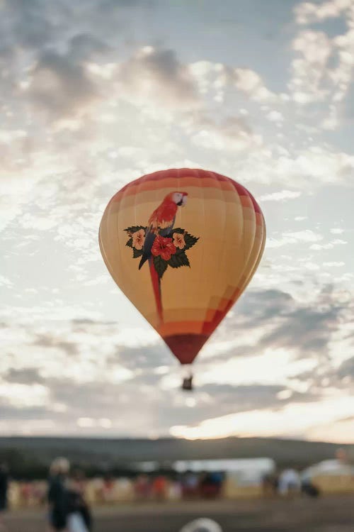 Hot Air Balloon At Sunset