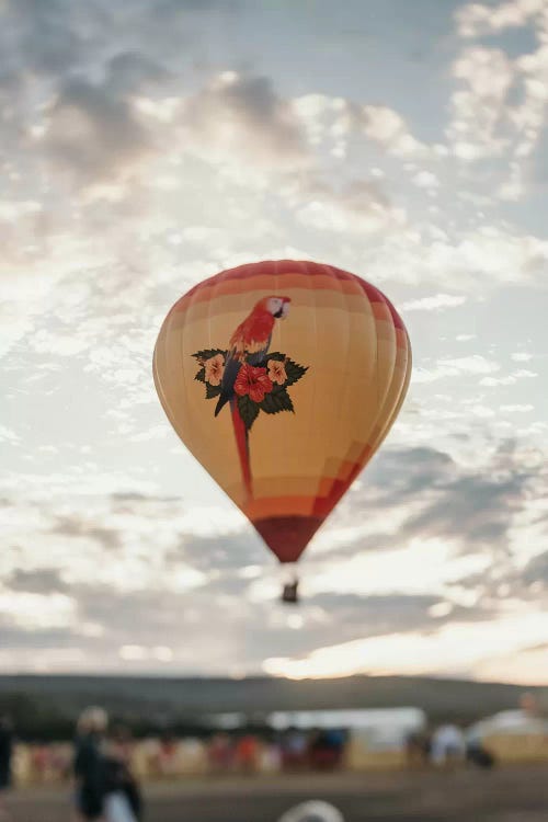 Hot Air Balloon At Sunset by Chelsea Victoria wall art