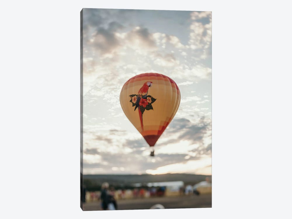 Hot Air Balloon At Sunset by Chelsea Victoria 1-piece Canvas Artwork