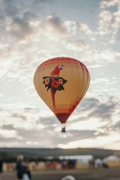 Hot Air Balloons: Hot Air Balloon At Sunset by Chelsea Victoria