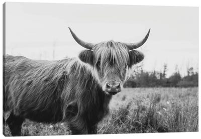 Furry Highland Cow Black And White Canvas Art Print - Highland Cow Art