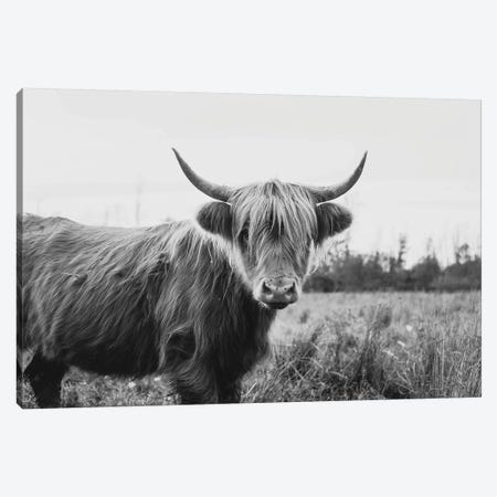Furry Highland Cow Black And White Canvas Print #CVA324} by Chelsea Victoria Canvas Artwork