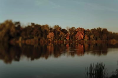 Autumn Reflections by Chelsea Victoria acrylic art print