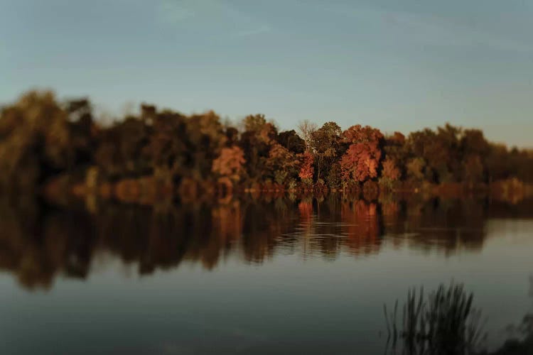 Autumn Reflections