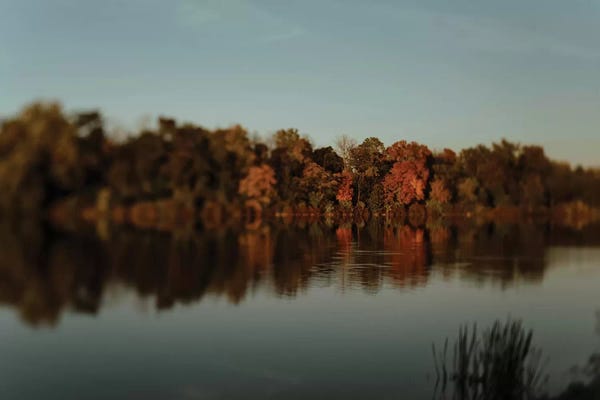 Chelsea Victoria: Autumn Reflections by Chelsea Victoria