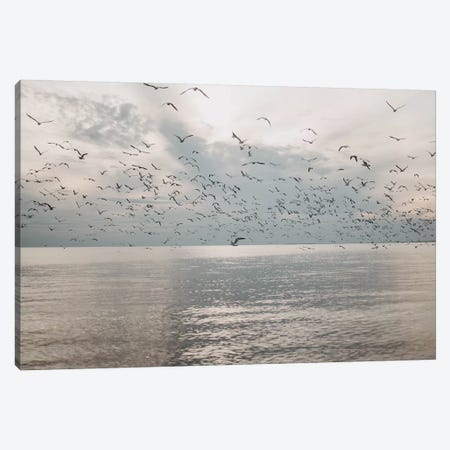 Seagulls over the sea Canvas Print #CVA327} by Chelsea Victoria Canvas Wall Art