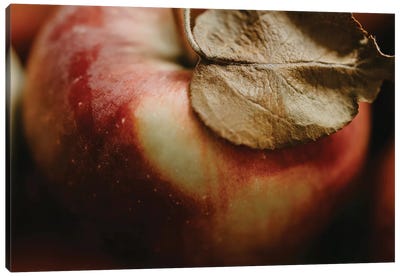 Fresh Apple Canvas Art Print - Farmhouse Kitchen Art