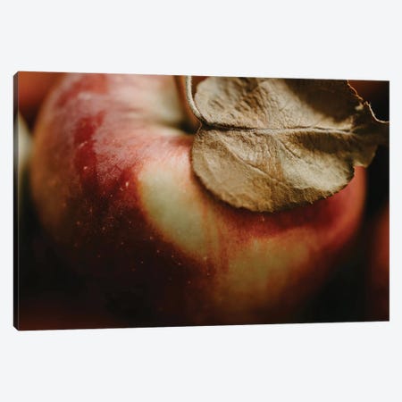 Fresh Apple Canvas Print #CVA337} by Chelsea Victoria Canvas Print