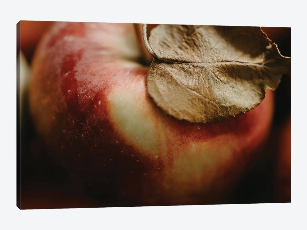 Fresh Apple by Chelsea Victoria 1-piece Canvas Wall Art