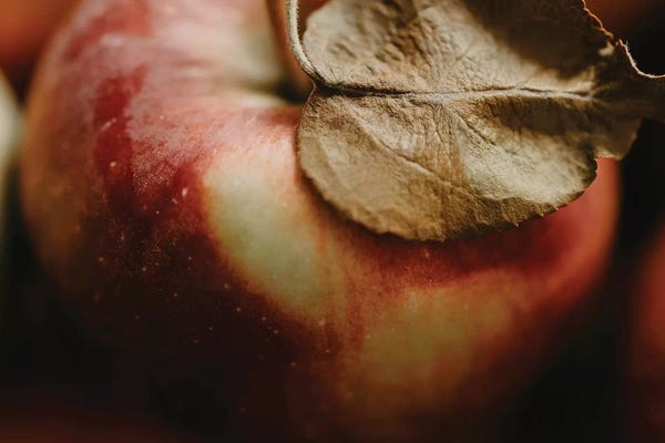 Modern Farmhouse Décor: Fresh Apple by Chelsea Victoria