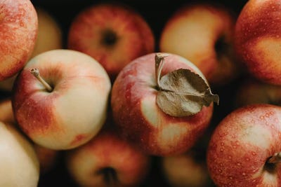 Apple Still Life by Chelsea Victoria art print