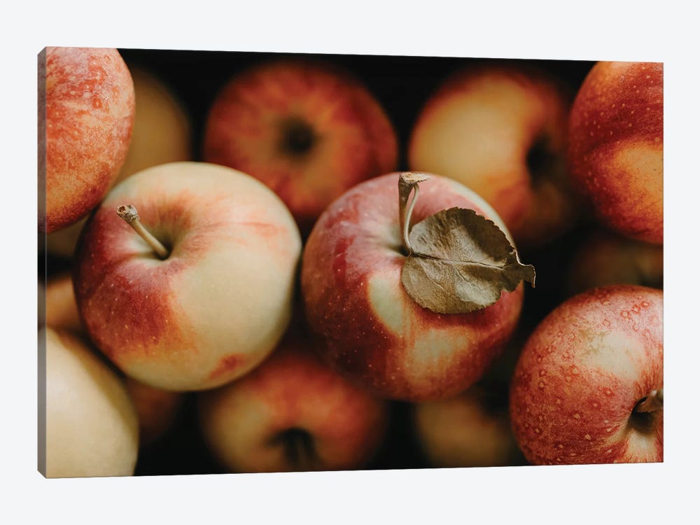 Apple Still Life by Chelsea Victoria 1-piece Canvas Print