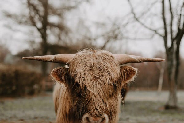 Chelsea Victoria: Taurus by Chelsea Victoria