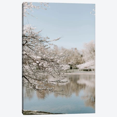 Cherry Blossoms By The Lake Canvas Print #CVA353} by Chelsea Victoria Canvas Wall Art