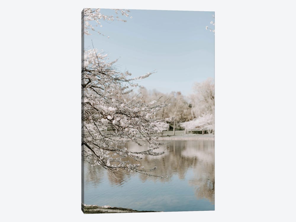 Cherry Blossoms By The Lake by Chelsea Victoria 1-piece Canvas Wall Art