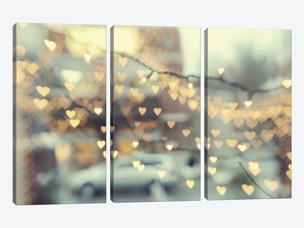 Holding Onto Love by Chelsea Victoria 3-piece Canvas Wall Art