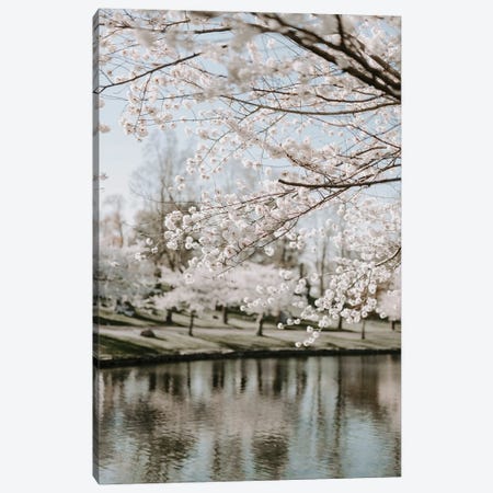 Blossoms By The Water Canvas Print #CVA360} by Chelsea Victoria Canvas Art Print