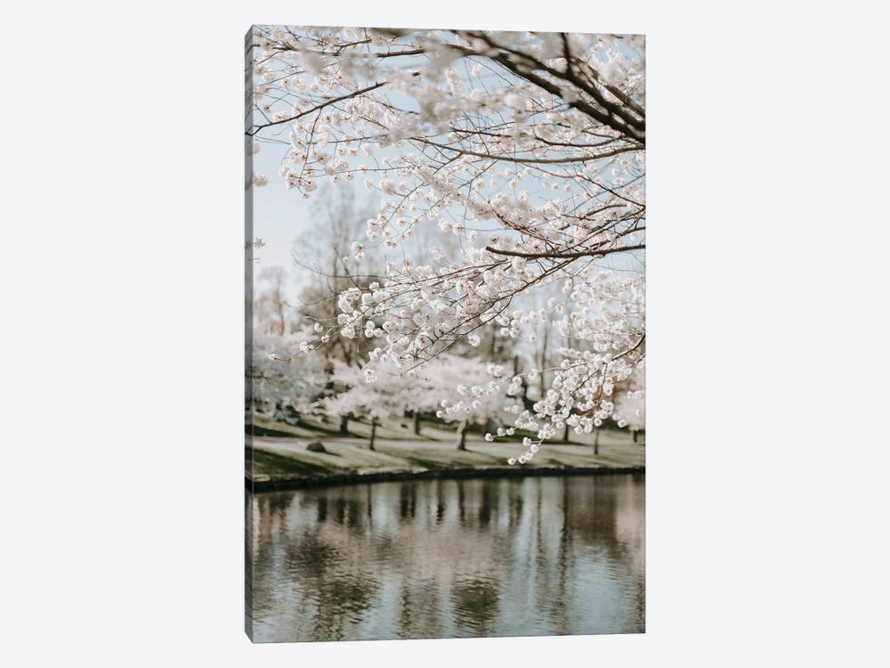 Blossoms By The Water by Chelsea Victoria 1-piece Canvas Artwork