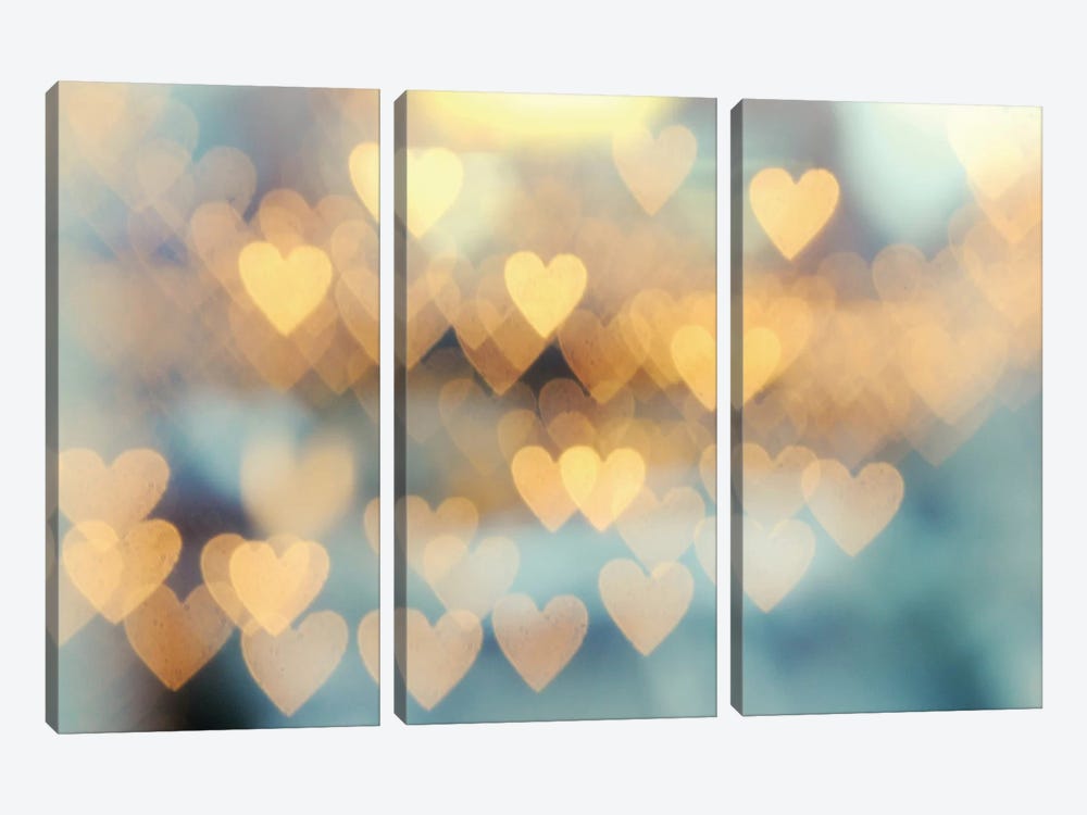 Holding Onto Love II by Chelsea Victoria 3-piece Canvas Art Print