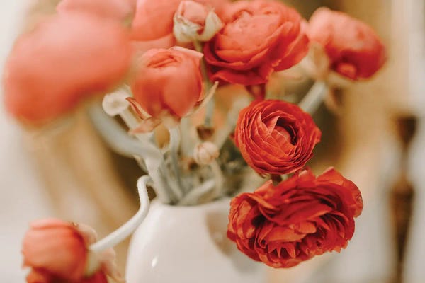 Ranunculi: Ranunculus Blossom by Chelsea Victoria
