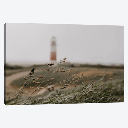 Path To The Lighthouse Canvas Print #CVA378} by Chelsea Victoria Canvas Art