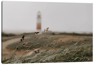 Path To The Lighthouse Canvas Art Print