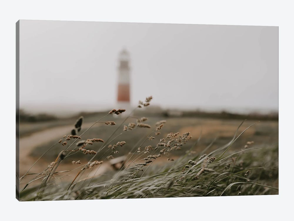 Path To The Lighthouse by Chelsea Victoria 1-piece Canvas Art Print