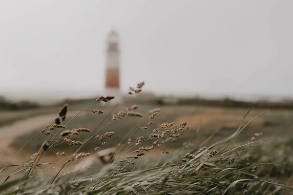 Chelsea Victoria: Path To The Lighthouse by Chelsea Victoria